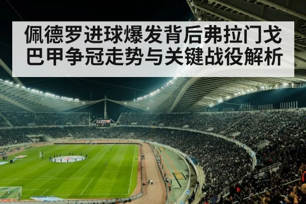 football stadium crowd night match